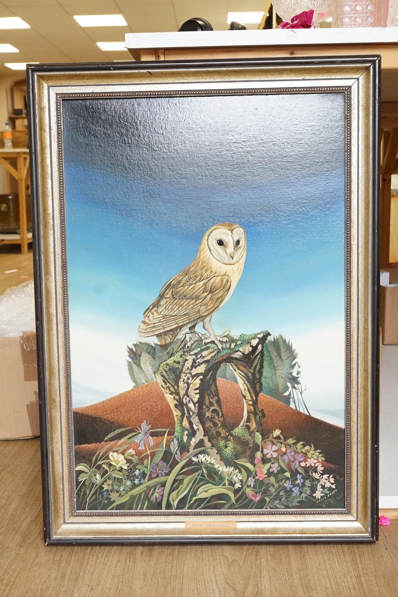 David Pratt (contemporary), ‘Barn owl, May in Cornwall’, signed, exhibited at the Mall Galleries in '1981' according to the inscribed label verso, oil on board, 77 x 50cm